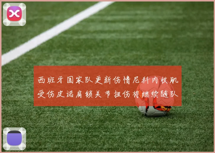 西班牙国家队更新伤情尼科内收肌受伤皮诺肩锁关节扭伤将继续随队训练