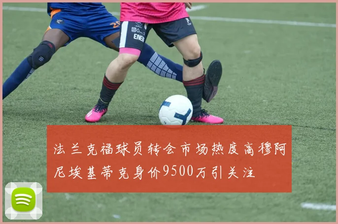 法兰克福球员转会市场热度高穆阿尼埃基蒂克身价9500万引关注