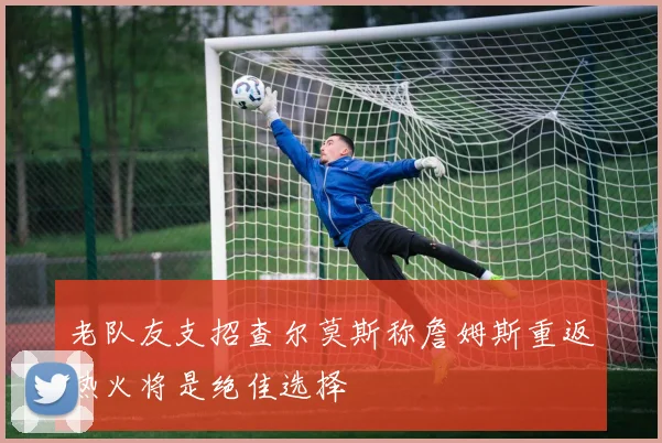 老队友支招查尔莫斯称詹姆斯重返热火将是绝佳选择